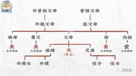 表堂怎麼分|親戚稱謂中的表和堂該怎麼區分？